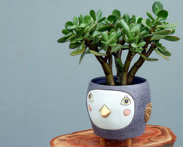 Bird Birdie Planter Funky Pot Plant Grey Purple Large