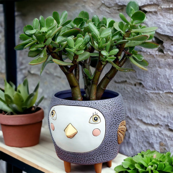 Bird Birdie Planter Funky Pot Plant Grey Purple Large